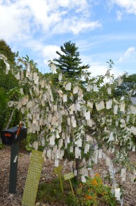 the berkshires 2014 015