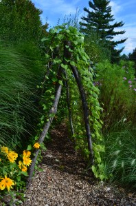 the berkshires 2014 016