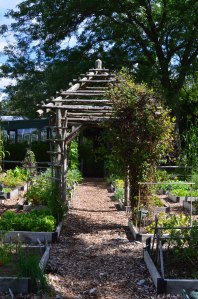 the berkshires 2014 021