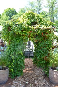 the berkshires 2014 026