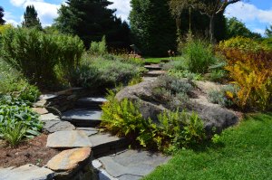 the berkshires 2014 052